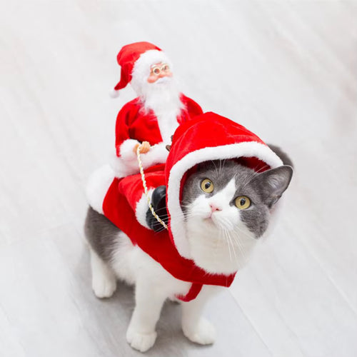 Christmas Dog/Cat Costume