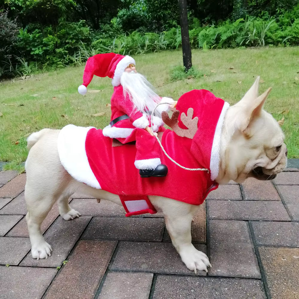 Christmas Dog/Cat Costume