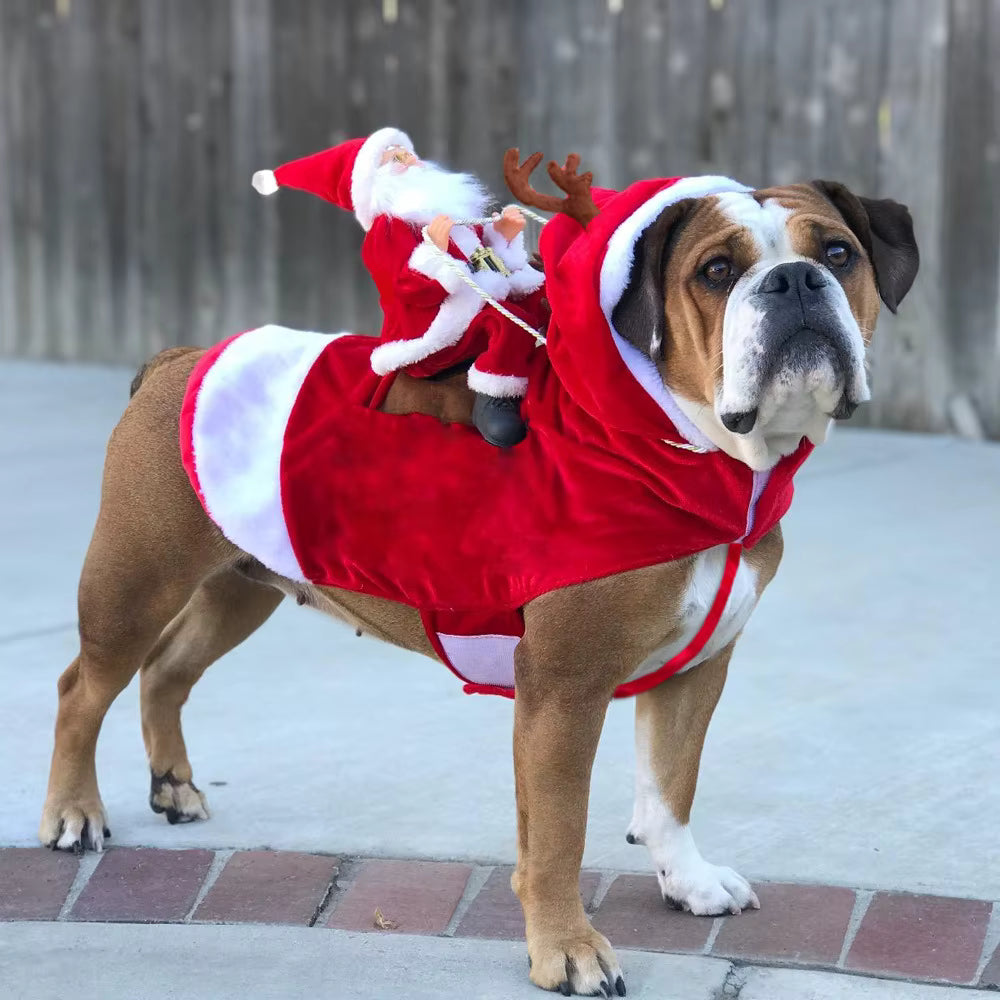 Christmas Dog/Cat Costume